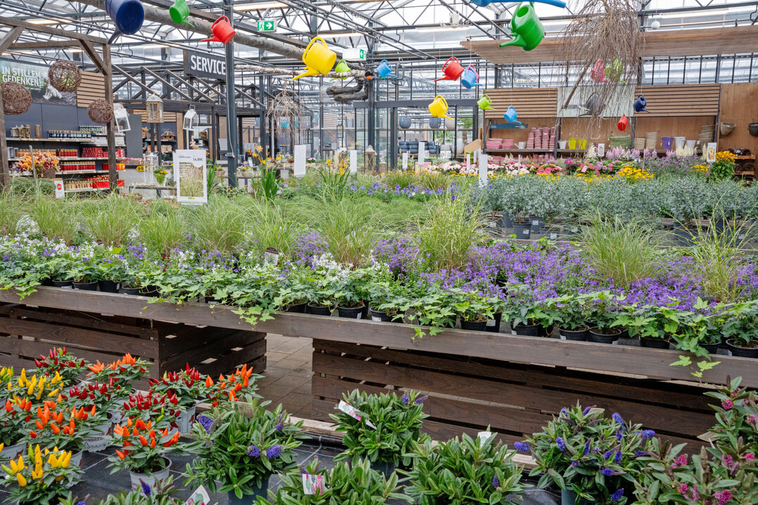 Saisonale Ware empfngt die Kunden auf ihrem Rundweg durch das Gartencenter.