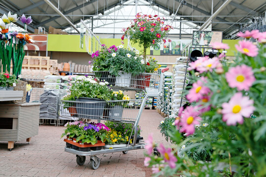 Das Gartencenter Mencke hat sieben Tage die Woche geffnet. 