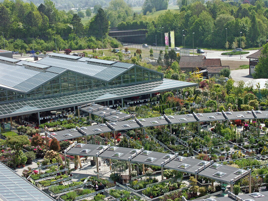 Im Gartencenter Meier hat sich die Involve-App zu einem festen Bestandteil der internen Kommunikation entwickelt.