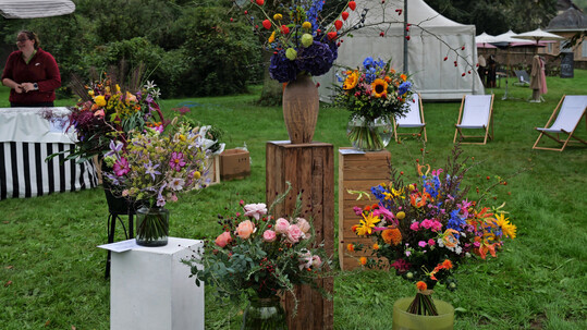 Die Wettbewerbsstrue