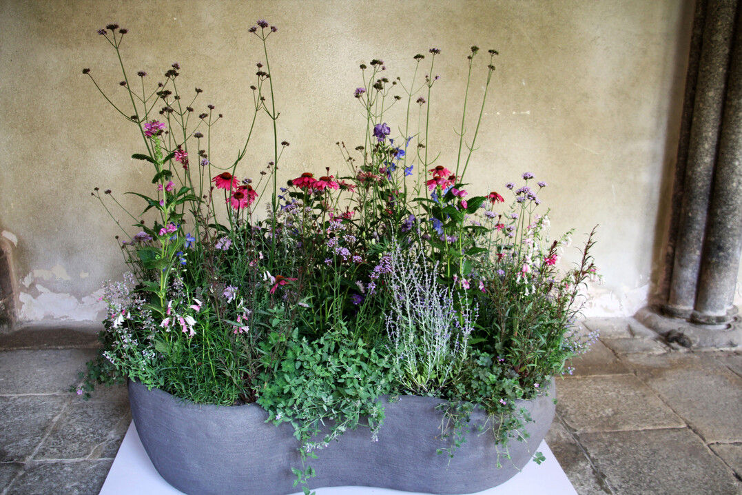 <b>Géraldine Lang</b>
bepflanzte ein selbst gestaltetes organisches Betongefäß mit einer Vielfalt an Stauden und einjährigen Pflanzen in den Farben Rot, Rotviolett, Violett, aufgehellt, getrübt und vielen Grünfacetten. Die verschiedenen Farbtöne korrespondierten mit der Farbe des Gefäßes. Beurteilt werden in der Prüfung auch die Pflanzensoziologie, die Zusammenstellung der Pflanzen in Bezug auf Standort und Pflegeansprüche.