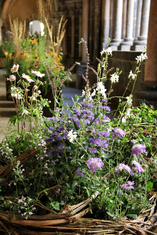 Bepflanzung im Waldrebengefäß von
<b>Tatjana Galuffo</b>