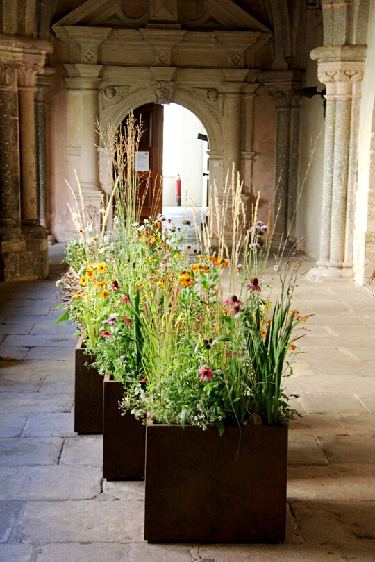 Mittelalterlicher Kreuzgang mit Bepflanzung von
<b>Nadine Moser</b>