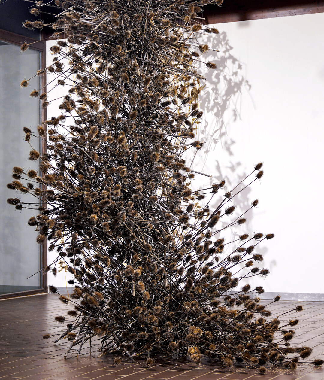 Wie eine Naturgewalt erscheint die Stele von 
<b>Theresia Schnaidt</b>
. Am Waldrand und auf brachliegenden Feldern wchst die Karde in groen Mengen, jedoch nie so dicht an dicht wie hier. 