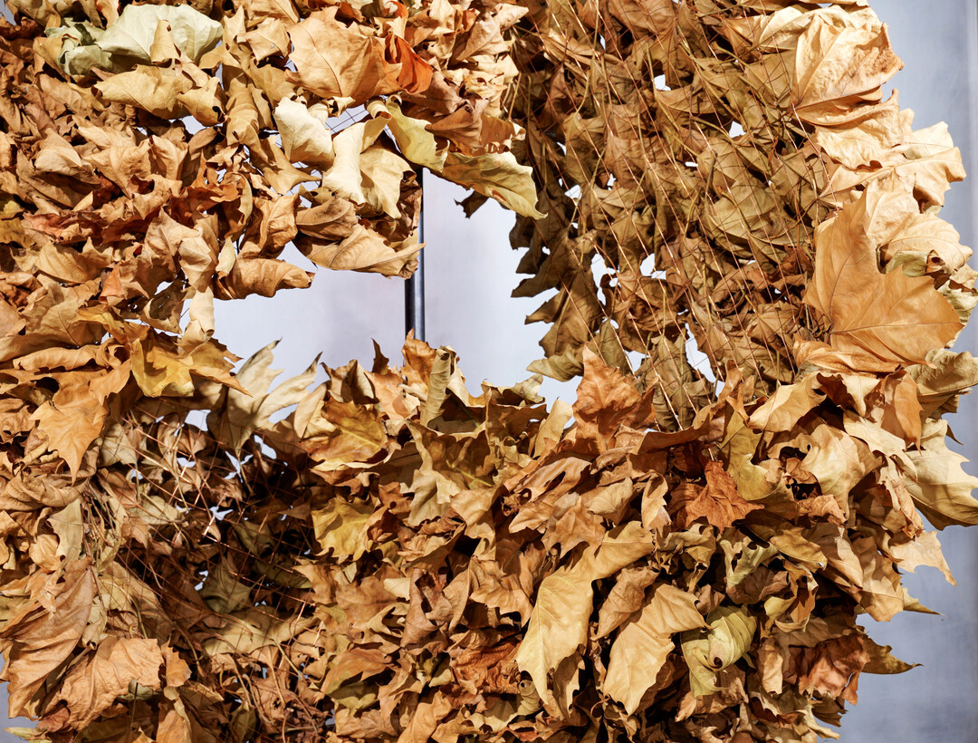 Ohne weitere Hilfsmittel hat 
<b>Lea Paukner</b>
 die Bltter von 
<i>Platanus x hispanica</i>
 in eine Bahn Broncenet eingewoben.