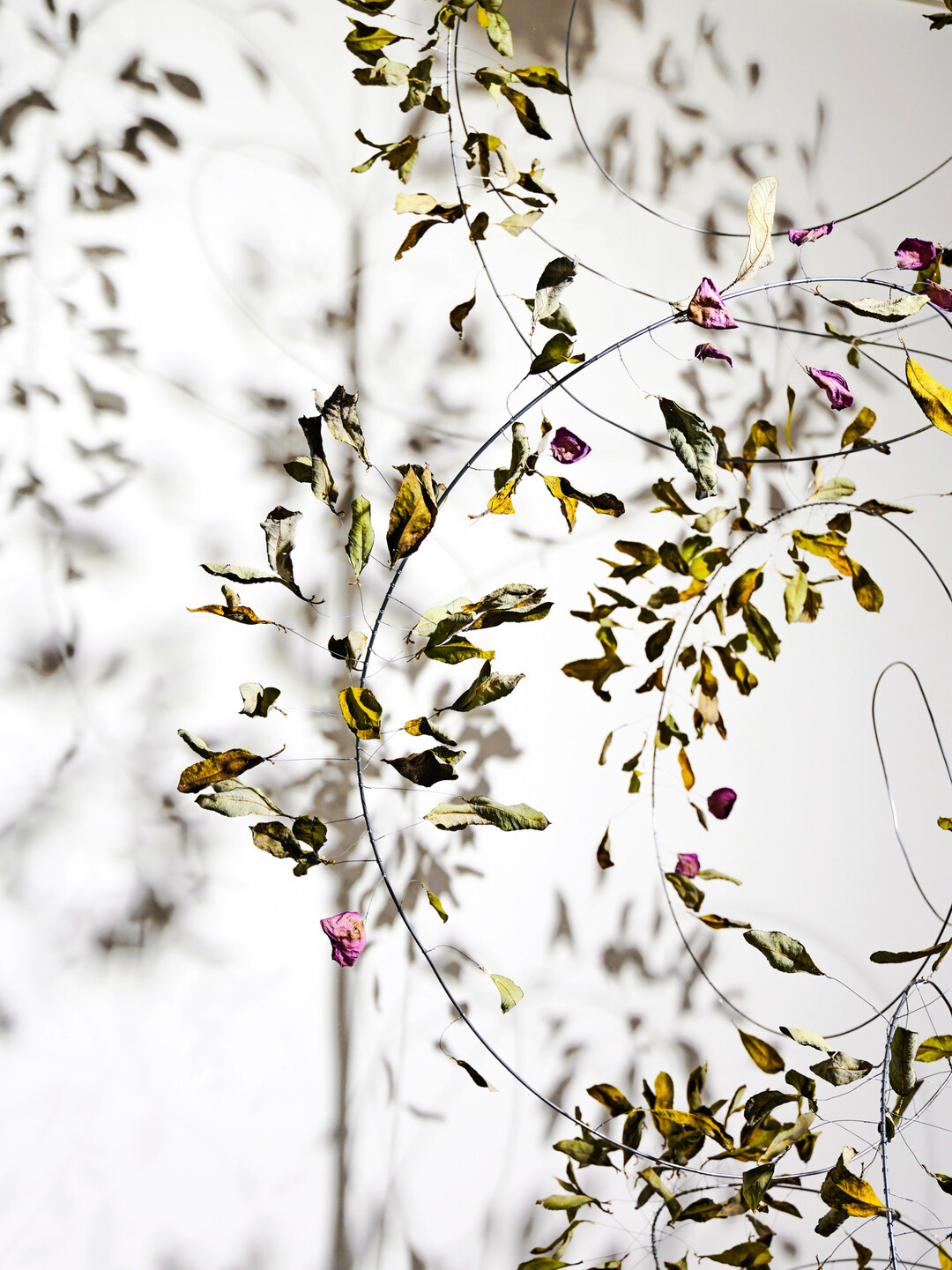 Mal paarweise, mal einzeln tanzen die Bltter der Asch-Weide (
<i>Salix cinerea</i>
) in eleganten Pirouetten um die Eisenstange. Sie werden gehalten von feinstem Silberdraht, sauber an einem Spanndraht befestigt. Einzelne getrocknete Rosenbltenbltter sitzen wie Schmetterlinge dazwischen.