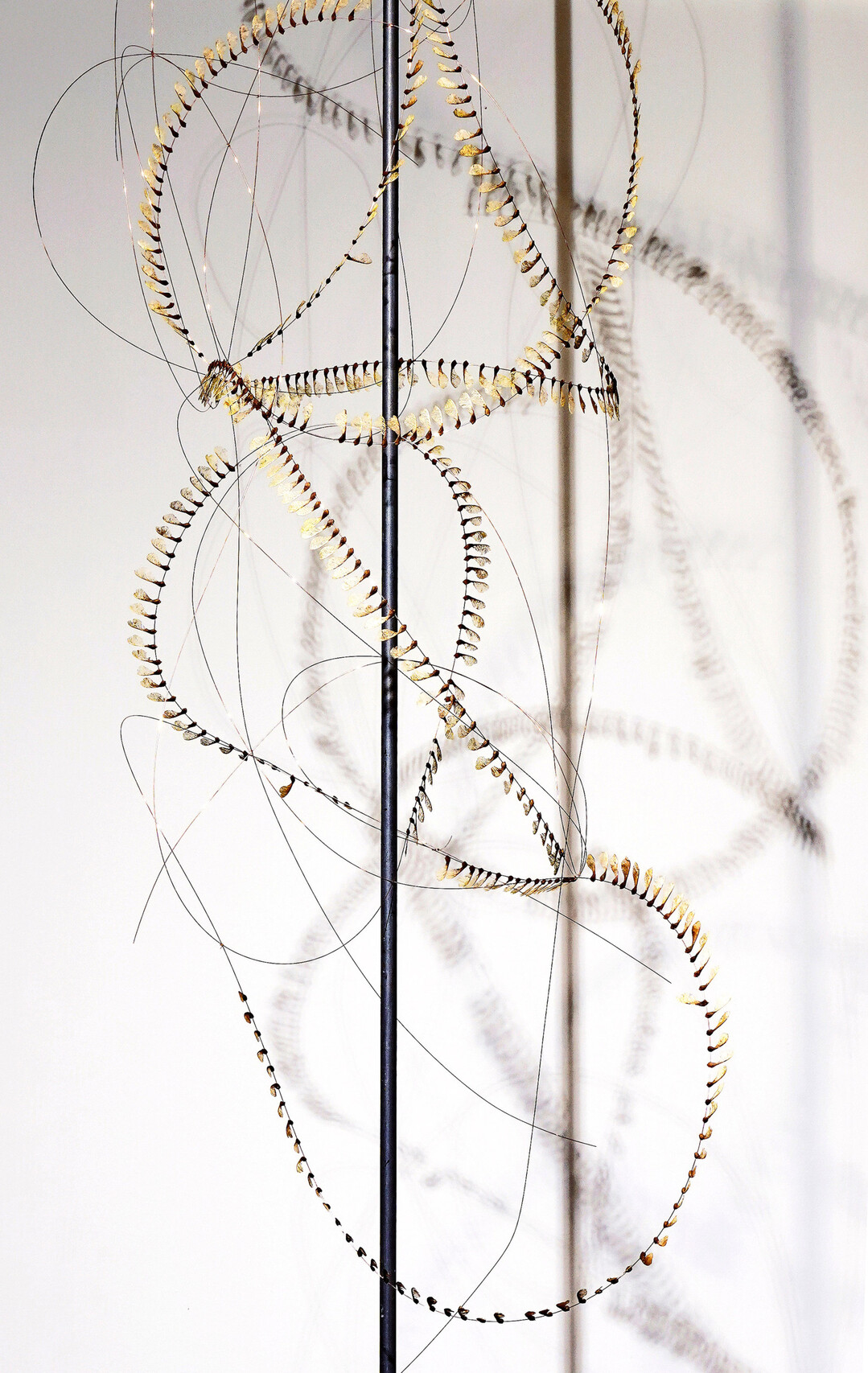 Circles of life nennt 
<b>Christian Birkelbach</b>
 seine Installation. Das Werkstck thematisiert die Zerbrechlichkeit und zugleich die Bestndigkeit des Lebens, erlutert er. Die Samen des Ahorns stehen fr das Potenzial und die Weitergabe von Leben, whrend die durchscheinende Beschaffenheit der libellenhaften Flgel zugleich vom Verfall erzhlt: Die Skelettierung ist nicht nur ein sthetisches Detail, sondern auch Ausdruck des Vergehens, ein natrlicher Teil des Lebenszyklus. Sie zeigt, wie das Leben Spuren hinterlsst  wie Narben oder die feinen Linien der Zeit.