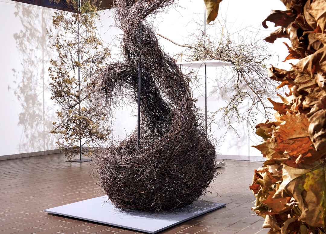 <b>Theresa Arndt</b>
 verwindet Zweige der Hnge-Birke (
<i>Betula pendula</i>
) zu einer nestartigen Behausung, die sich nach oben hin elegant in mehrere gewundene Strnge auflst. So weich der einzelne Zweig der Birke sein mag, so stabil ist das gewundene Werkstck.