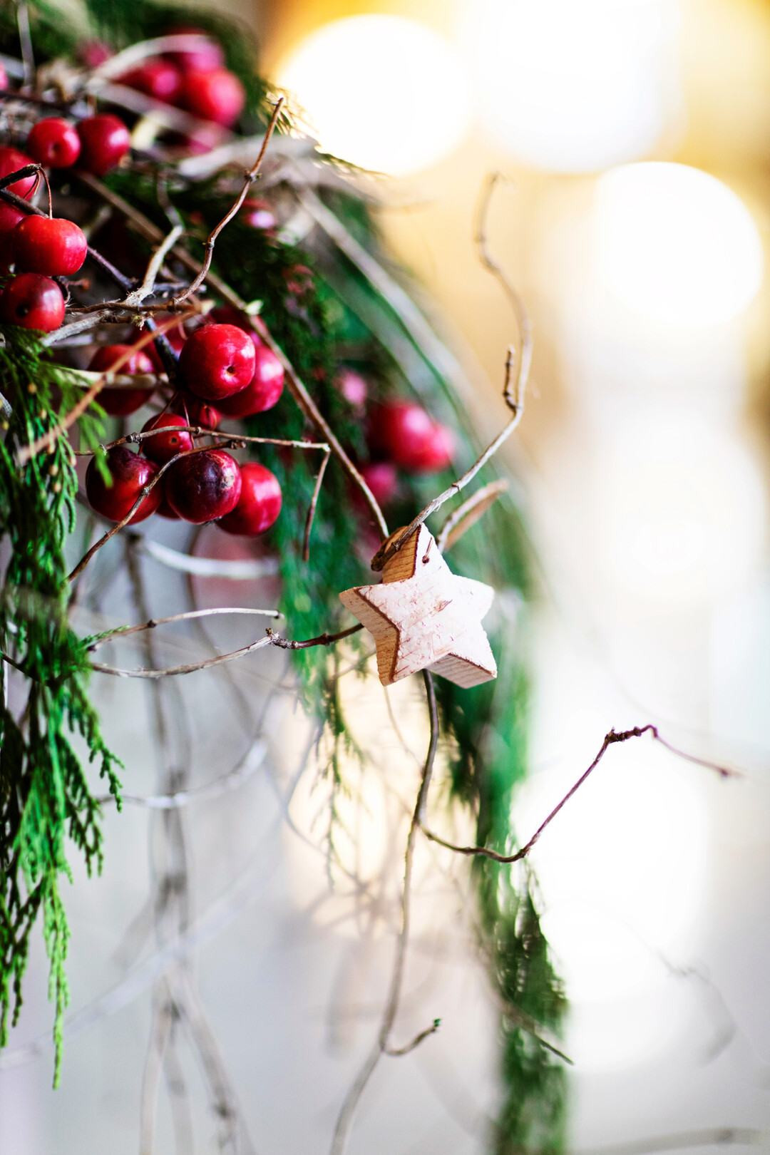 Sterne und einige Koniferen sorgen fr eine weihnachtliche Stimmung. 