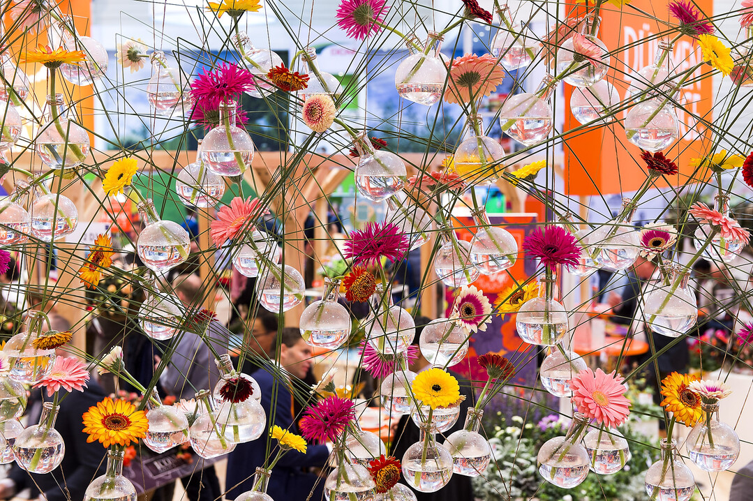 Einblick in die IPM ESSEN, die vom 23. bis zum 26. Januar 2018 stattfinden wird.