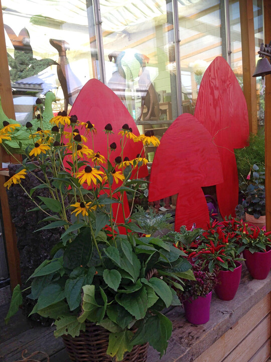 Oft steht auen vor einem Fenster auch Ware. Dann schaut man von auen zugleich auf zwei Warenbilder, die oft nichts miteinander zu tun haben. Es bringt viel, zumindest farblich einen Zusammenhang herzustellen. Wenn das Auen und das Innen miteinander korrespondieren, erweitern sich optisch die Rume.