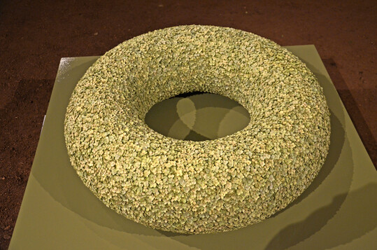 Formarbeit in Perfektion:
<b>Nadine Moser</b>
fügte unzählige Hortensienblüten zu einem Kranz ohne Anfang und Ende.