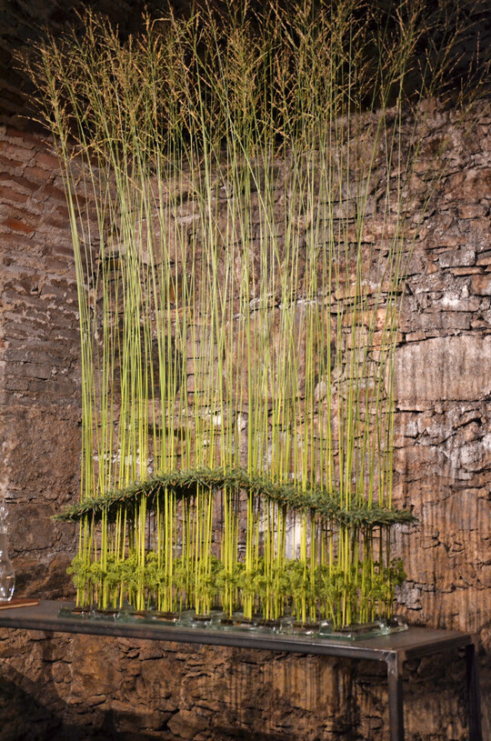 <b>Maja Hübscher</b>
setzte mit ihrer Themenarbeit die Kiefer in Szene.