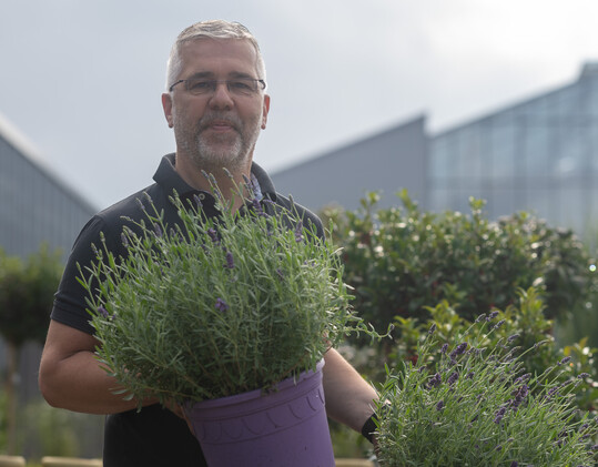 Rainer Ostmann, Blumen Ostmann, Visbek