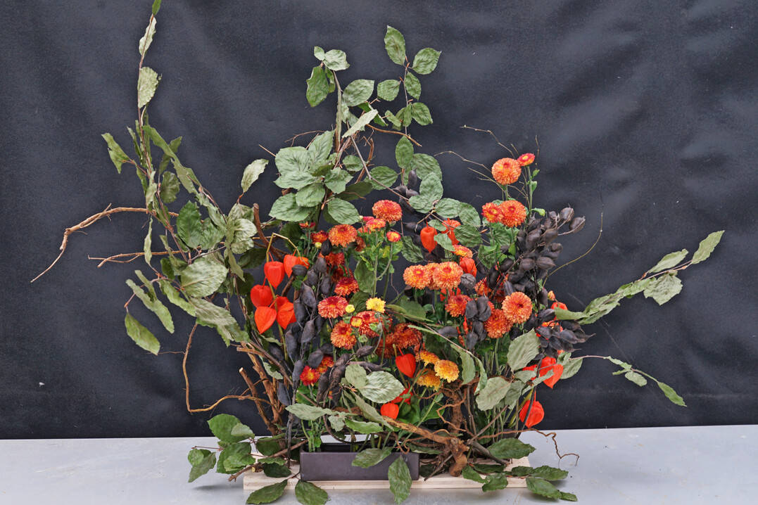 Die Buchenzweige wurden gepresst und schlicht getrocknet; erfolgt dies rechtzeitig, bleiben ihre Blätter stabil und haften über den Winter hinaus. Zusammen mit Wurzelstücken und dekorativen schwarzen Fruchtständen von
<i>Baptisia </i>
sind sie auf einem kleinen Holzbrett arrangiert. In zwei schmalen Schalen ergänzen
<i>Physalis </i>
und kleine Chrysanthemen die Komposition.