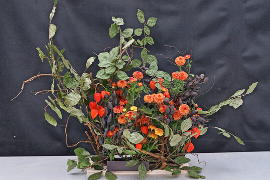 Die Buchenzweige wurden gepresst und schlicht getrocknet; erfolgt dies rechtzeitig, bleiben ihre Bltter stabil und haften ber den Winter hinaus. Zusammen mit Wurzelstcken und dekorativen schwarzen Fruchtstnden von 
<i>Baptisia </i>
sind sie auf einem kleinen Holzbrett arrangiert. In zwei schmalen Schalen ergnzen 
<i>Physalis </i>
und kleine Chrysanthemen die Komposition.