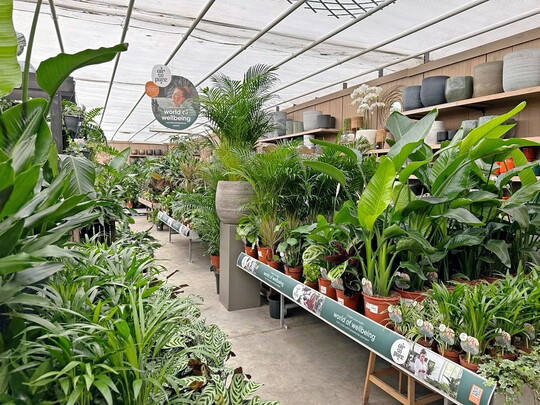 Die Marke bietet ma�geschneiderte Werbemittel und Displays mit Pflegetipps zu den Pflanzen sowie gebrandete �Air So Pure�-M�bel f�r eine verkaufsf�rdernde Pr�sentation.