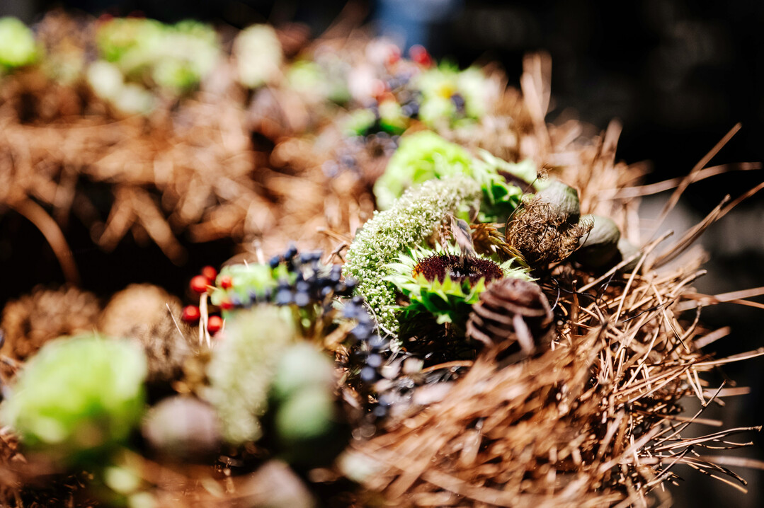 Detailansicht des Kranzes aus Kiefernnadeln