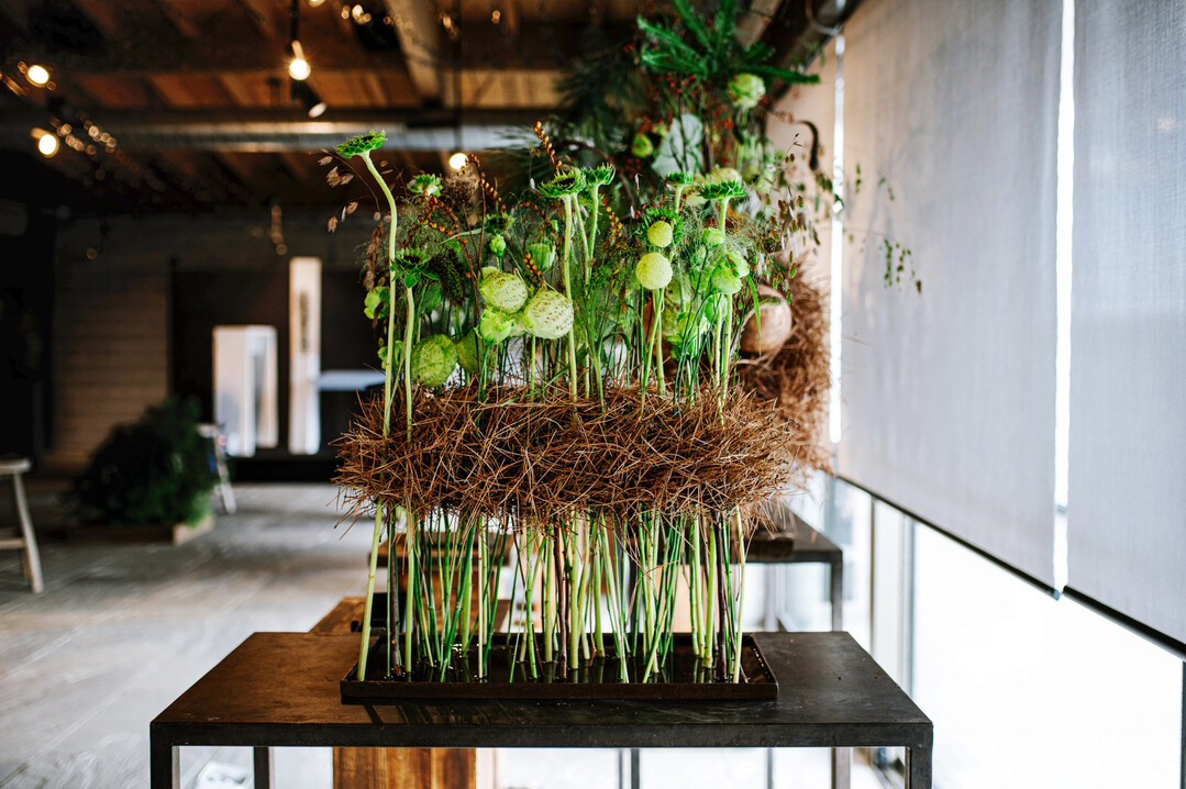 Ein Werkstck des grnen Naturthemas mit dem Namen Selva Viva (Lebendiger Wald).