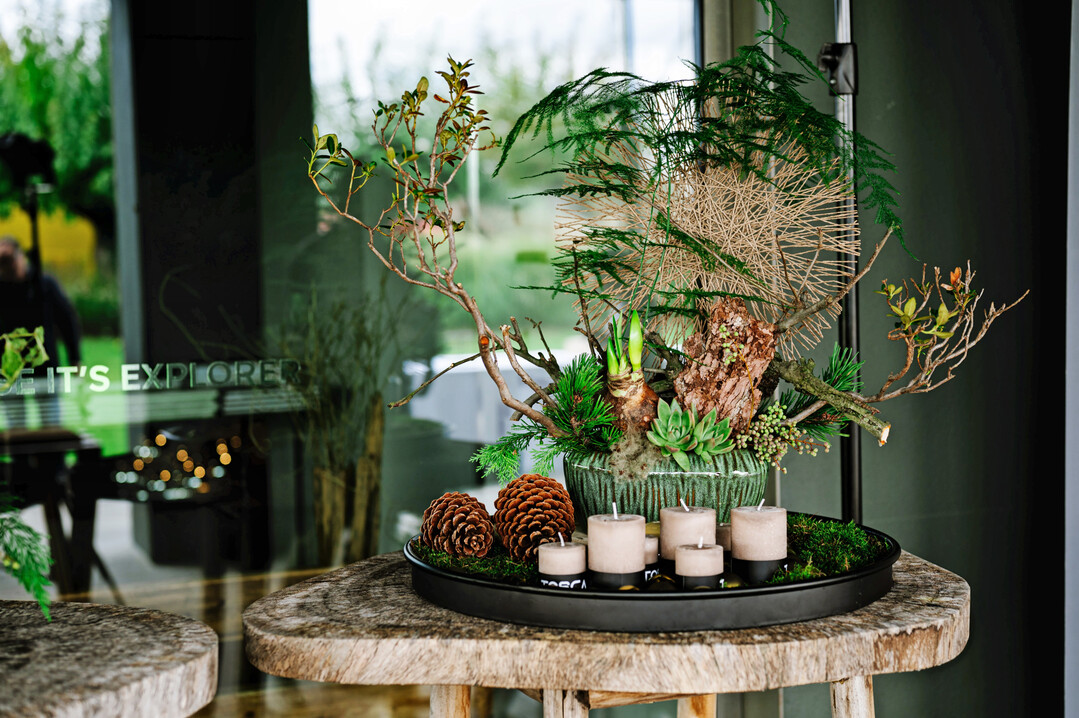 Ein Werkstck des grnen Naturthemas mit dem Namen Selva Viva (Lebendiger Wald).
