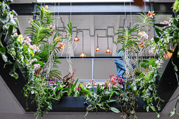 Die Schönheit der exotischen Zimmerpflanzen passte sehr gut zu den architektonischen Formen der modernen Lichtkörper unter dem Thema „In Full Bloom“.