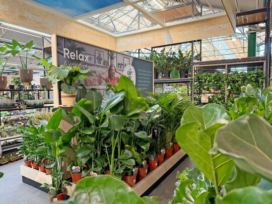 So kann die Umsetzung des Air-So-Pure-Konzepts im Gartencenter aussehen, hier bei Leurs in Venlo: Pflanzen, POS-Materialien und Branding fügen sich zu einer harmonischen Verkaufsfläche mit hoher Signalwirkung.