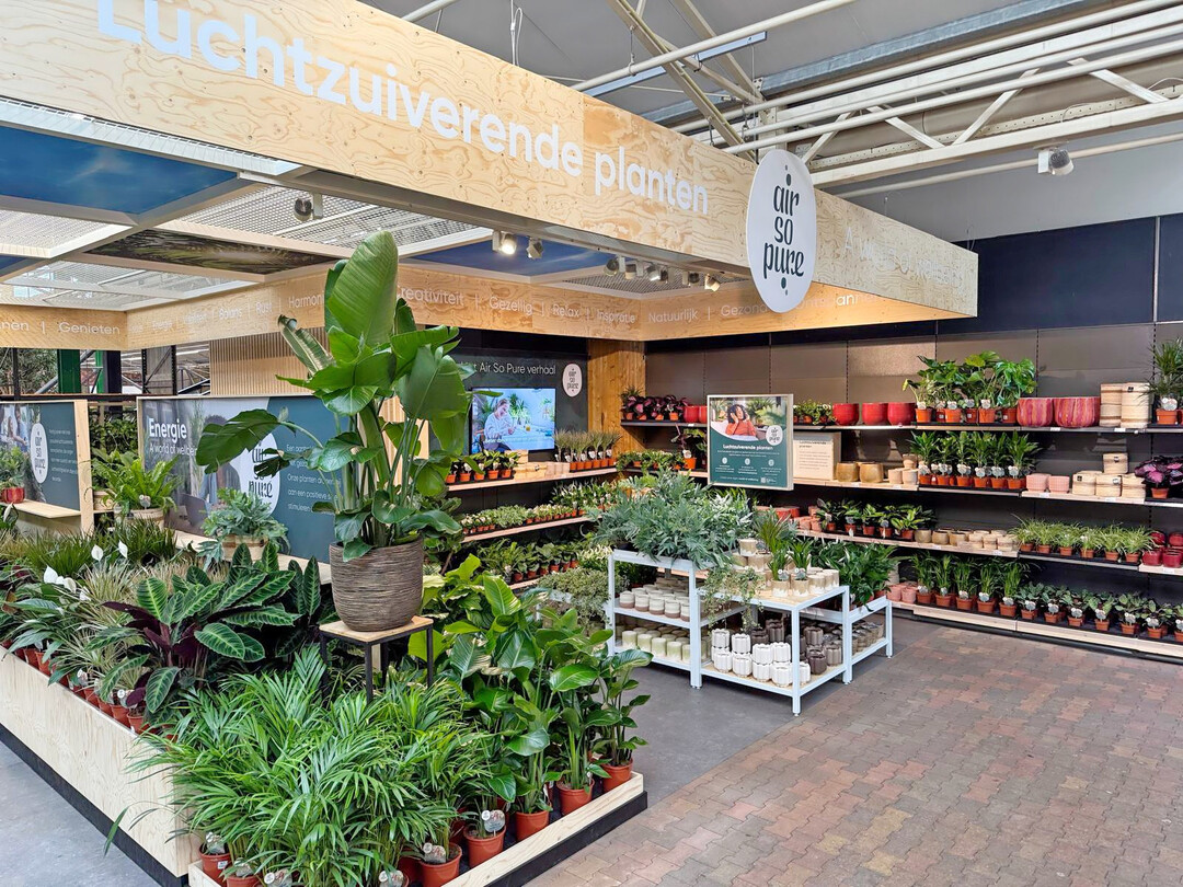 Gelungene Pflanzeninszenierung bei Leurs in Venlo: Struktur, Stimmung und Storytelling machen aus Zimmerpflanzen erlebbare Produkte – und sorgen für mehr Umsatz auf der Fläche.