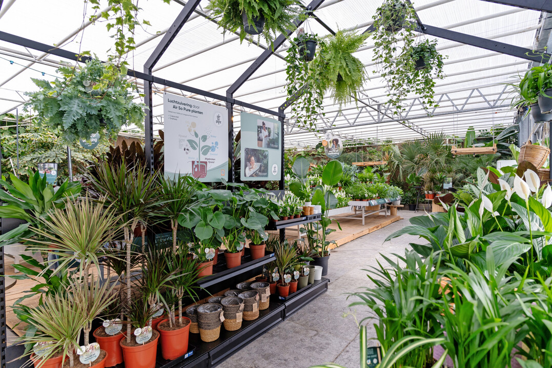 Umsetzung des Air-So-Pure-Konzepts im Gartencenter