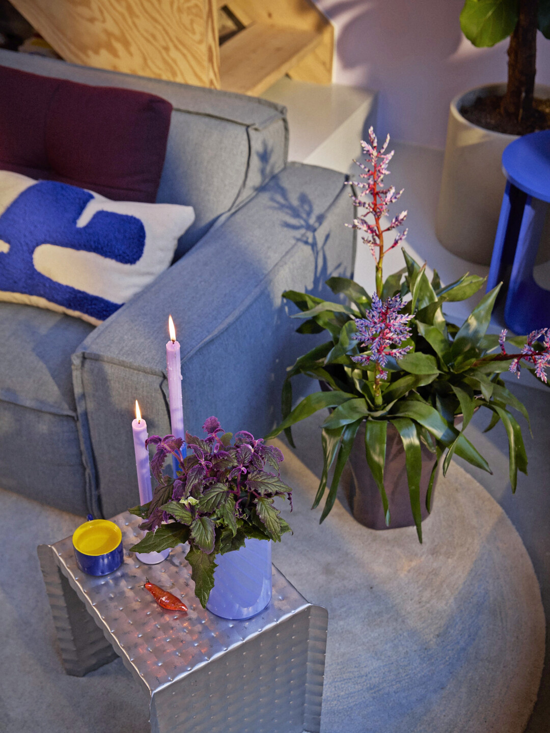 Mit violettem oder blauem Licht, Moos, Glasgefen und metallischen Elementen entsteht ein magischer Look, der sofort ins Auge fllt  besonders im abendlichen Schaufenster.