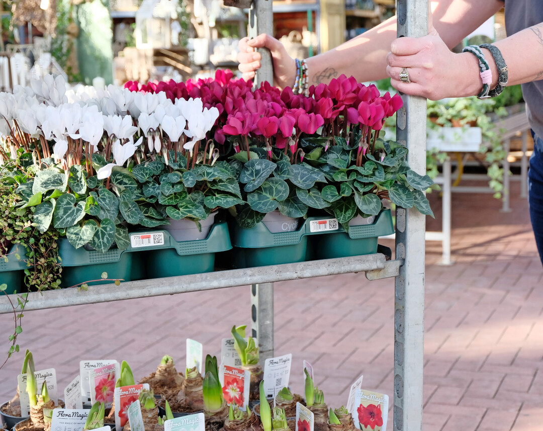 Bis 2026 sollen sechs Millionen Mehrwegtrays im Umlauf sein. Bisher haben sich mehr als 30 Marktteilnehmer dem Konzept angeschlossen.