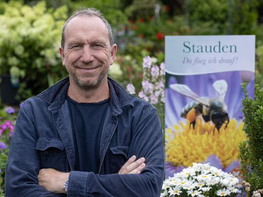 Xandl Schmidhammer, Hameter Stauden in <br />
Baumgarten/sterreich