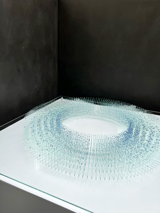 F�r ihre Kranzform brachte Katharina Arnold rund 5.000 einzelne Vergissmeinnichtbl�ten auf 1.000 gl�serne Objekttr�ger auf.