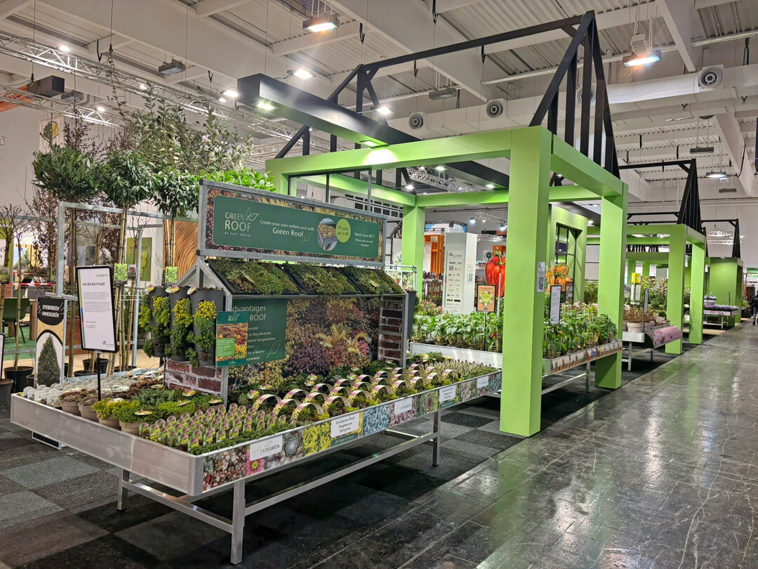 Show Your Colours Garden Centre auf der IPM 2025: inspirierende Konzepttische, starke Markenpräsentationen und praxisnahe Pflanzkombinationen in Gartencenter-Atmosphäre.