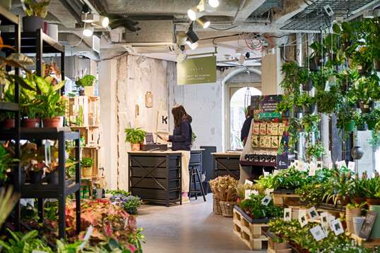 In nur zwei Wochen aus dem Hut gezaubert: Ein Gartencenter im M�nchner Rathaus.