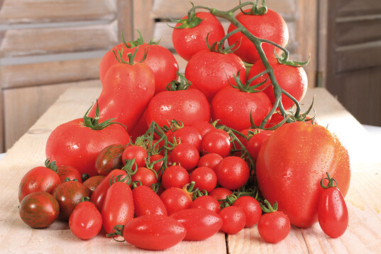 Aufsteiger: Seit 2013 erobert die Marke La slection du Chef Deutschlands Beete und Teller  vor allem mit exklusiven Tomatenpflanzen. Mehr als 200 weitere Gemsepflanzen-Sorten stellten sich beim Demonstrations-Anbau im Mnsterland unter Beweis.