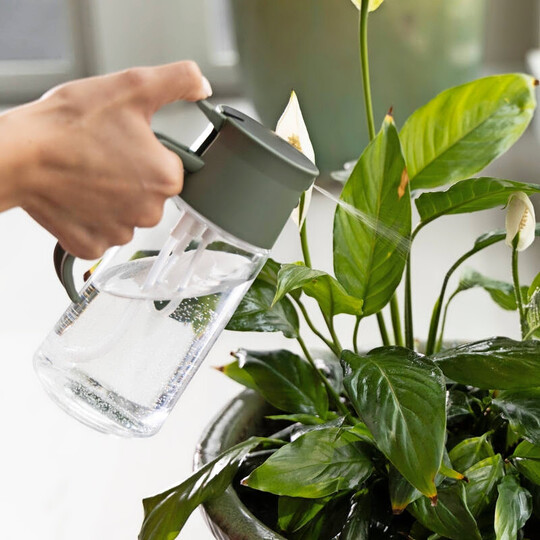 Gieen und sprhen mit einem Handgriff.