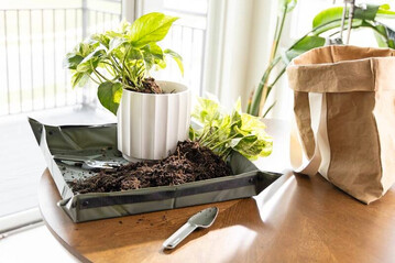 Die faltbare Pflanzmatte mit praktischen Tragegriffen sorgt für komfortables Arbeiten.