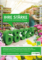 Die Anzeigenmotive werden ab der 14. Kalenderwoche in Fachzeitschriften wie DEGA GARTENBAU geschaltet.