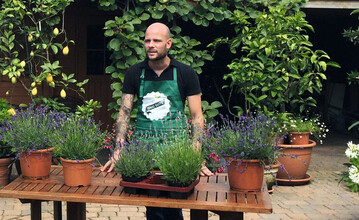 Es gibt 1000 gute Grnde, einem lieben Menschen oder sich selbst mit Blumen und Pflanzen eine Freude zu bereiten. Sie gehren einfach zum Leben dazu und sollten wieder strker im Bewusstsein der Menschen verankert sein. Dafr setzt sich die Initiative Blumen  1000 gute Grnde ein.