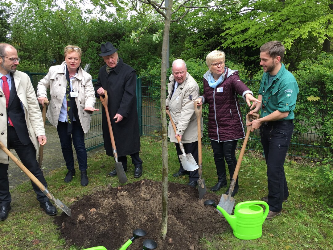 Ein Gravensteiner Apfelbaum fr die Kita am Marienhher Weg in Berlin-Tempelhof und viele motivierte Grtner (v.l.n.r.): Markus Guhl, BdB-Hauptgeschftsfhrer, Martina Castello, Pdagogische Geschftsleiterin der Kindertagessttten Berlin Sd-West, Dr. Hermann Onko Aeikens (CDU), Staatssekretr im Bundesministerium fr Ernhrung und Landwirtschaft (BMEL), Dr. Wolfgang von Geldern, Prsident der Schutzgemeinschaft Deutscher Wald (SDW), Marie-Luise Fasse MdL (CDU), Stellvertretende Vorsitzende der SDW und Landesvorsitzende des Landesverbandes NRW und Sven Hery, Bundesleiter Deutsche Waldjugend der Schutzgemeinschaft Deutscher Wald. 