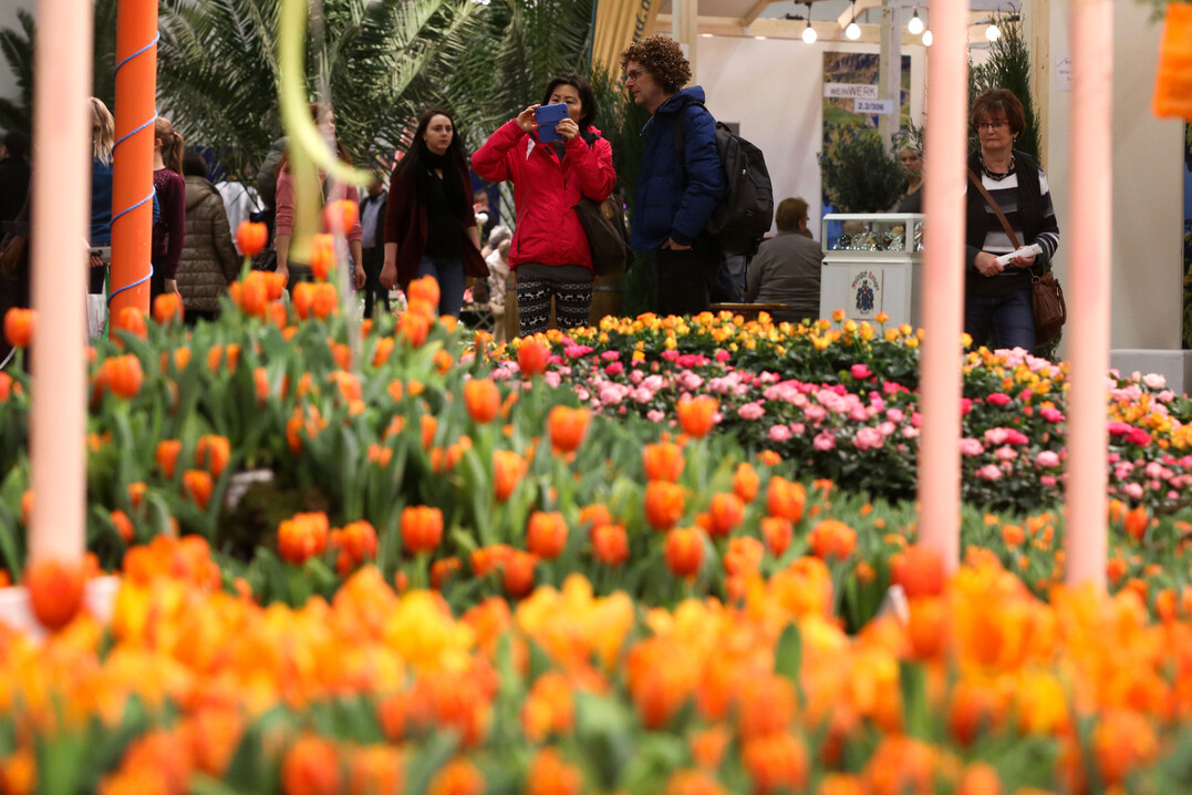 Landgard Initiative 1000 gute Grnde steht fr eine vllig neue und moderne Gestaltung der Blumenhalle.