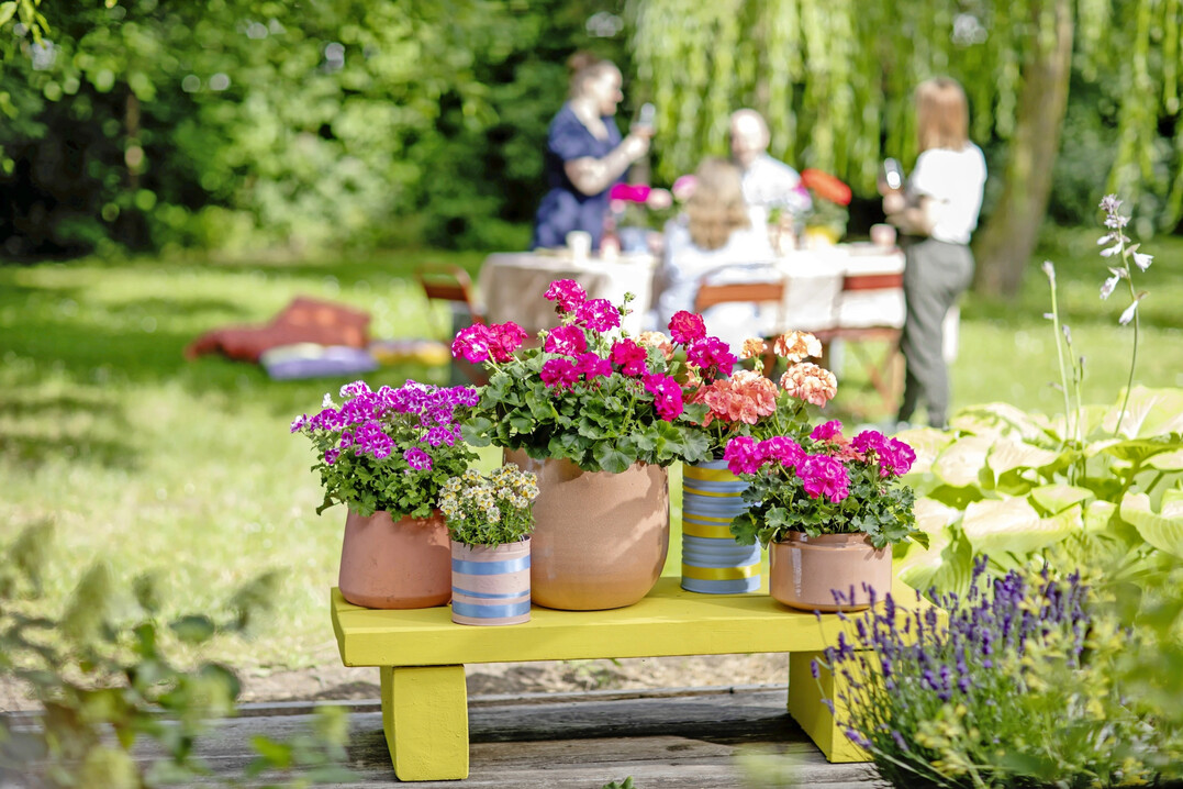 Ob Geranie, Trendmix oder Wow-Artikel: Erfolg entsteht nicht zuf�llig. Er entsteht durch Sortimente, die Bed�rfnisse erkennen, Geschichten erz�hlen und Margen sichern. 