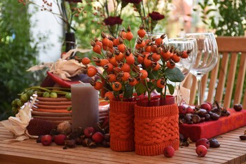 Tischarrangements mit Hagebutten, Kastanien und Zierpfeln geben Anregungen fr die herbstliche Dekoration daheim.
