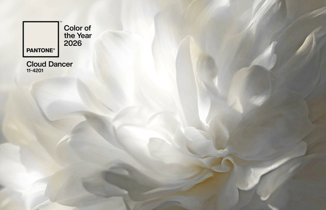 Die Farbe des Jahres von Pantone. Ein gebrochenes Wei, das reich vertreten ist, in der Blumenwelt.  