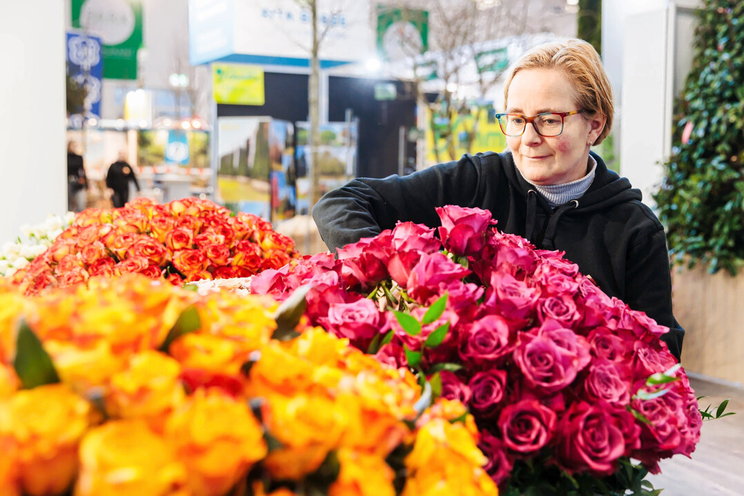 In den Pflanzenhallen zeigt die IPM die Vielfalt der grünen Produktwelt – von Schnittblumen und Beetpflanzen bis zu Stauden und Gehölzen.