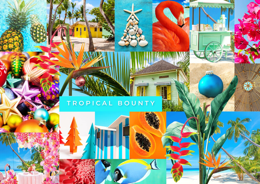 In der Sonderschau „Decoration Unlimited“ erwartet die Besuchenden diesmal keine Weihnachts- oder Winterlandschaft, sondern ein Tropenparadies. Unter dem Motto „Tropical Bounty“ werden die Foyers der Hallen 5.1 und 6.1 in leuchtenden Pastelltönen, Palmen und mit exotischer Dekoration inszeniert.