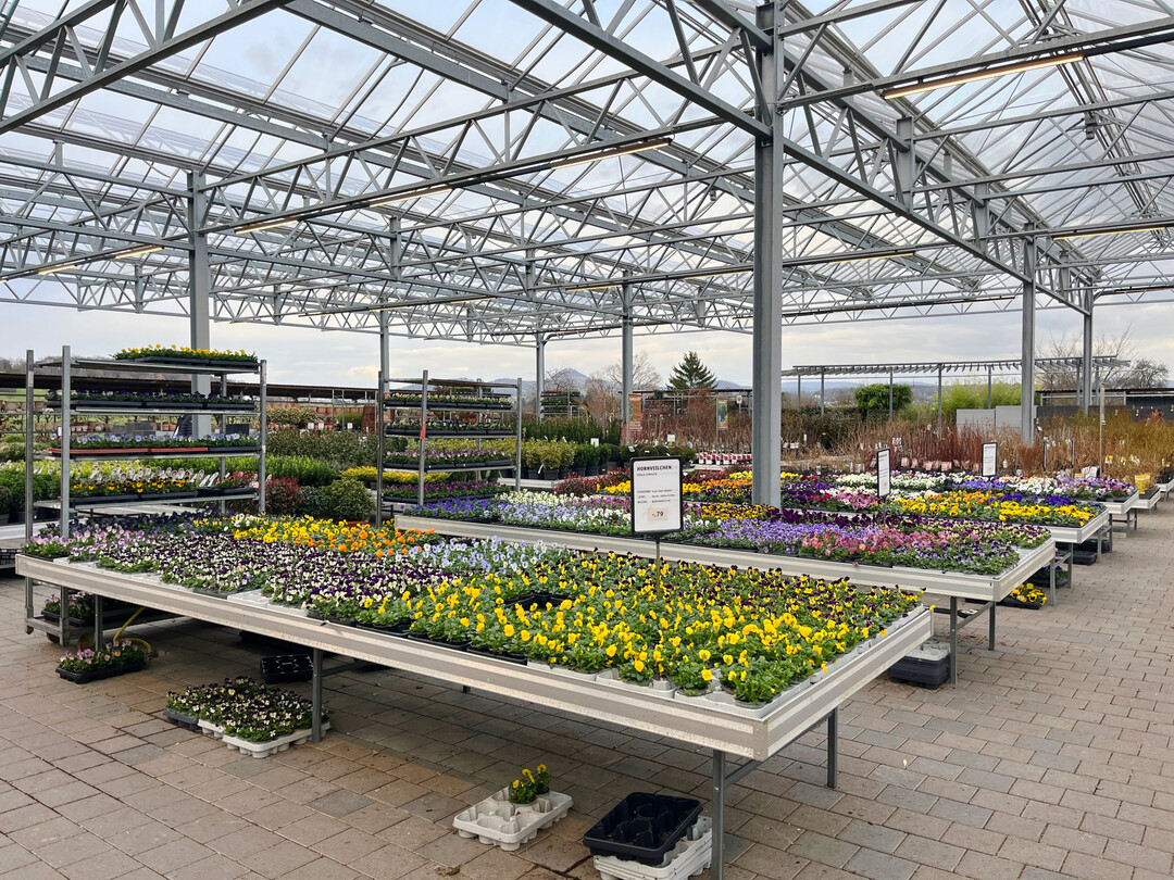 Baurechtliche �nderungen gef�hrden den bisherigen Gew�chshausbau.