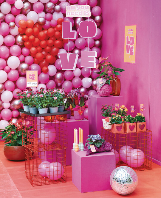 Knalliges Pink, Rot und Orange – das Verkaufskonzept für den Valentinstag „All you need is love“.