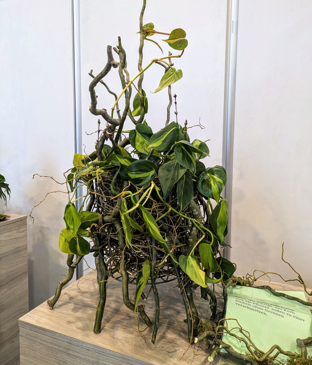 3. Platz: Der Korb und die Pflanze verschmelzen beim �Held im Topf� von Imke P�tzold zu einem Ganzen ohne Grenzen. 