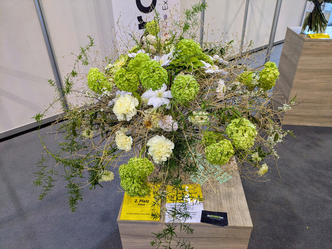 Beste Azubi-Arbeit Strau�: Die Auszubildende Sarah Marie Trijanto erreichte mit ihrem Strau� die zweitbeste Punktzahl im Wettbewerb. Die wei�en Bl�ten und das helle Gr�n symbolisieren laut der angehenden Floristin den Fortbestand � ein Zeichen von Ruhe, Neubeginn und Hoffnung. 